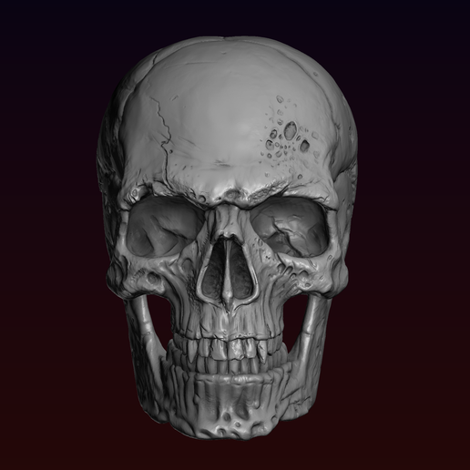 1.png Skull detailed