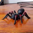 20210101_124253.jpg flexi print  black tarantula spider
