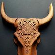 447825196_224306.jpg cow head