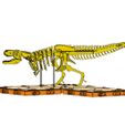 premium-dino-set-pic14.jpg [3Dino Puzzle]Large Dinosaur Museum Premium Set
