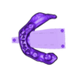 789513050_20240412_1028_Tech_01_J_HaD_flex_A3_UnsectionedModel_LowerJaw.stl DIGITAL PARTIAL REMOVABLE DENTURES ( upper + lower + 3D MODELS !) - flexible