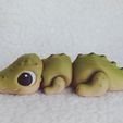 3D-Print-Flexi-Crocodile-Sensory-Toy.1.jpg Flexi Croc