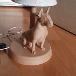 20230102_104657.jpg bull terrier lamp