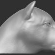 6.jpg Lioness head for 3D printing