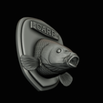 common-carp-24.png head trophy COMMON CARP (CYPRINUS CARPIO)open mouth statue 2 detailed texture for 3d printing