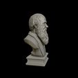 24.jpg Charles Darwin portrait sculpture 3D print model