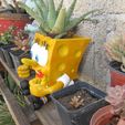 00 BOB ESPONJA MACETA.jpg SPONGEBOB POT