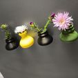 IMG_20251006_183943.jpg 🌸 Vasi da fiori da frigo