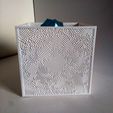 IMG_20190915_110922.jpg Free STL file Organic Box・3D print design to download