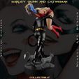 h-18.jpg Harley Quinn and Catwoman - Collecible Edition