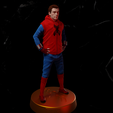 Preview35.png Spider-man - Homemade Suit - Homecoming 3D print model