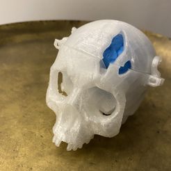Boneheads: Skull Box w/ Brain - via 3DKitbash.com