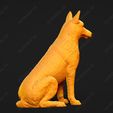 1685-Belgian_Shepherd_Dog_Malinois_Pose_04.jpg Belgian Shepherd Dog Malinois Dog 3D Print Model Pose 04