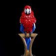 Macaw-Feather-Puzzle-1.jpg Macaw Feather Puzzle
