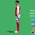 Havertz_2025_7.jpg 3D Rigged Кай Хавертц Арсенал 2025