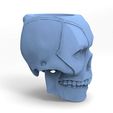 0_8.jpg Deadpool Skull Matte for 3d printing