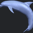 27_TDA0613_Dolphin_03B01.png Dolphin 03