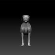 dog770_3.jpg Dog - amazing dog - dog for game - dog for 3d print - big dog