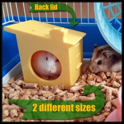 Hamster-house-copy.jpg STL file Hamster - Bird house (easily washable)・3D printing idea to download