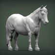 pony6.jpg Modelo de impresión 3D de poni