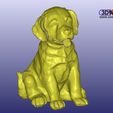 LabPup1.jpg Labrador Puppy (Dog Statue 3D Scan)