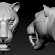 03.jpg Tiger Head  Number06