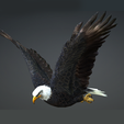 000.png Eagle Eagle - DOWNLOAD Eagle 3d Model - Animated for Blender-Fbx-Unity-Maya-Unreal-C4d-3ds Max - 3D Printing Eagle Eagle BIRD - DINOSAUR - POKÉMON - PREDATOR - SKY - MONSTER