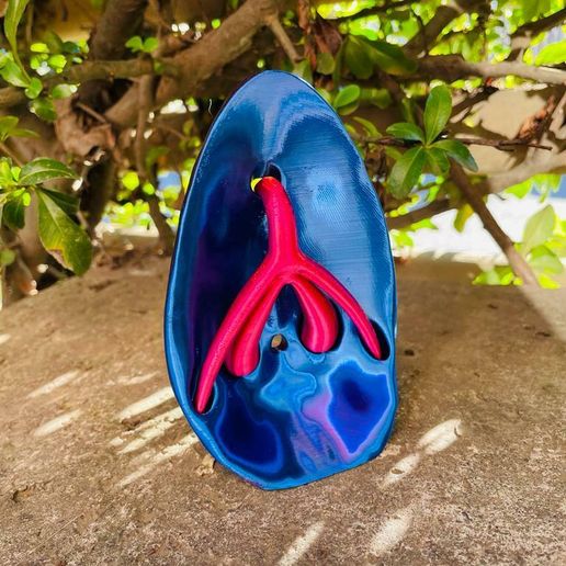 WhatsApp-Image-2023-08-25-at-19.15.41-1.jpeg Anatomical vagina, vulva and clitoris