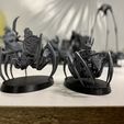 IMG_1001.JPG Fichier STL gratuit Cavalerie d'araignées australienne・Design pour imprimante 3D à télécharger