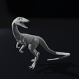 stand1.png Compy - Compsognathus Dinosuar Reptile
