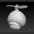 Slide4.jpg Propeller Mushroom Mario