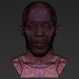 24.jpg Omar Little from The Wire bust 3D printing ready stl obj formats