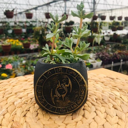 Zodiac Gemini Planter Pot 3D model