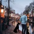 5f480ceb4nnn6c.jpg Doberman Doberman