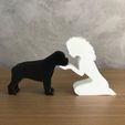 WhatsApp-Image-2022-12-22-at-15.39.09.jpeg Girl and her Rottweiler (wavy hair) for 3D printer or laser cut