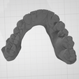 2.png Dental model lower jaw - wax up
