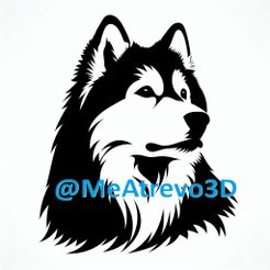 6.jpeg Siberian Husky #6