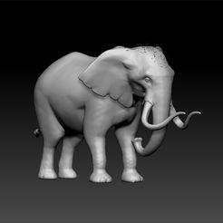 e3.jpg Elephant