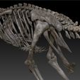 velociraptor-skeleton-full-3d-raptor-dinosaur-bones-3d-model-68f154e755.jpg Velociraptor Skeleton - Full 3D Raptor dinosaur bones