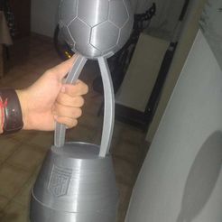 WhatsApp-Image-2023-09-01-at-1.06.15-AM-1.jpeg Archivo STL Copa de la Liga Argentina・Plan para descargar y imprimir en 3D