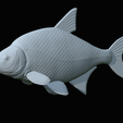 Bream-fish-21.png fish Common bream / Abramis brama solo model detailed texture for 3d printing