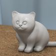 sittingKitten_01.jpg chaton assis