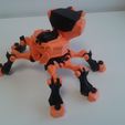 20141125_140507.jpg L'araignée articulée