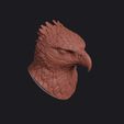 martial_eagle_0003.jpg Martial Eagle Head Bust Wall Mount