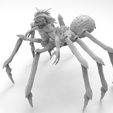 untitled.52.jpg Spider Gremlin Mohawk