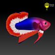 BettaV2_6.jpg Betta Fish 2 - Ready for 3D print