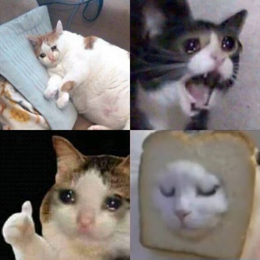 Crying cats pack - 4 cats (Fat, Screaming, Thumb y Pan)