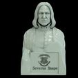 08.jpg Severus Snape 3D print model