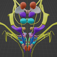 BRAIN-STEM-WITH-CRANIAL-NERVES-AND-NUCLEI-8.png 32-part Brainstem & Midbrain 3D Model with Full Cranial Nerves and Nuclei