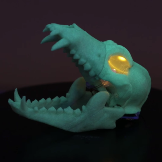 BONEHEADS: Wolf Skull & Jaw Bone - PROMO - 3DKITBASH.COM, Adafruit